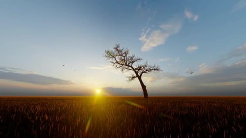 Vogellandschaft fliegt um trockenen Baum Sonnenuntergang
