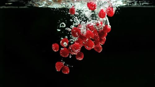 Fresh Red Raspberries Dropping into Clear Water