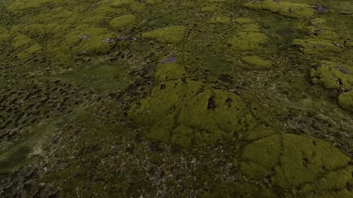 Aerial View of Mossy Lava Field in Iceland