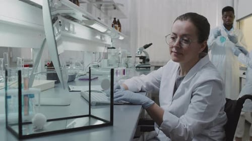 Scientist Types at Computer in Bright Laboratory