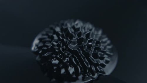 Ferrofluid, Slow Motion