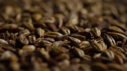 Tiro rotativo de cevada e outros ingredientes de fabricação de cerveja