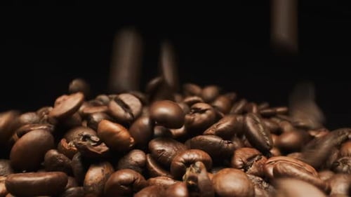 Zeitlupe. Fallende Kaffeebohnen. Nahaufnahme.