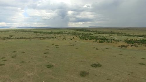 Vista aérea das planícies de Masai Mara em um dia nublado