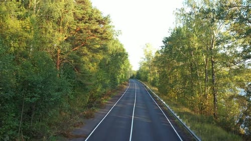 Aerial View From Drone on Asphalt Road at the Forest