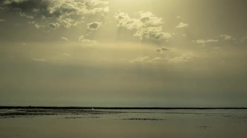 Natur Wildlife Reserve Carmargue Lagune Sonnenstrahlen Wasser