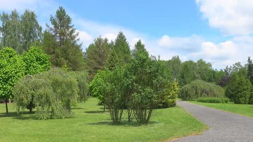 Park