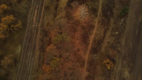 Aerial View of Trees Near Rail in Autumn Season