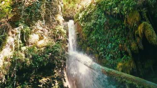 Lush Waterfall Flowing Through Tropical Nature