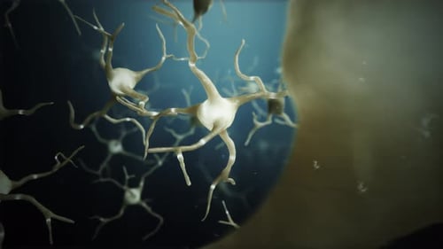 Welt der Verbindungen zwischen Schleifenneuronzellen