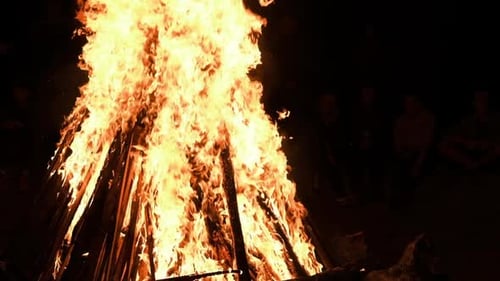 Big Bonfire Burns at Night in Slow Motion on a Black Background