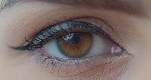 Macro Close-up Brown Woman’s Eye. Human Eye, Eyelash, Eyelid, Brown Iris, Face. Natural Beauty.