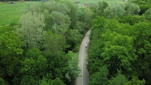 Aerial Top Down View of White Car Driving on Rural Road in Forest