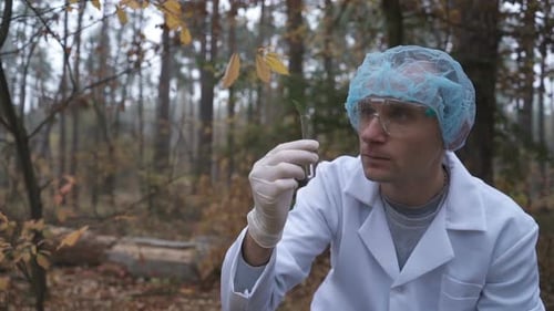 In the Forest, an Ecologist Takes Samples of Plants and Puts Them in a Test Tube