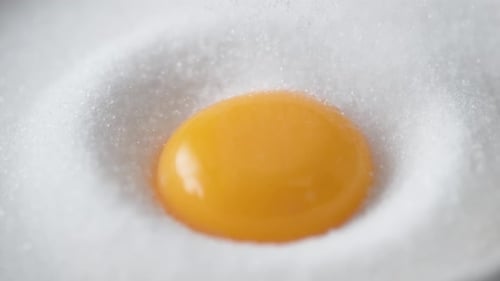 Bright Egg Yolk Nestled in Bed of Sugar