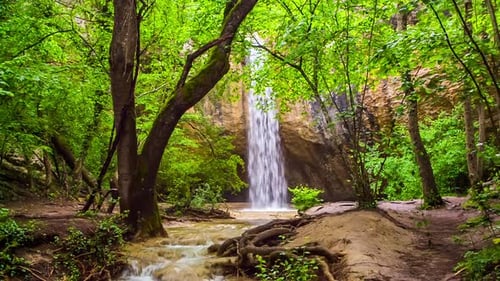 Waterfall with a River in the Forest