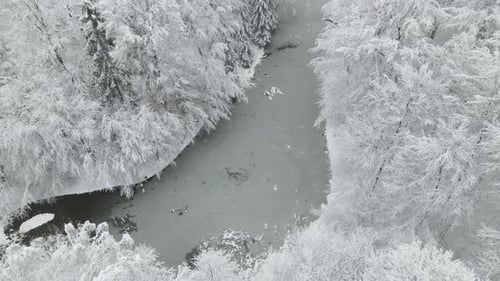 Freezing weather conditions at Poland Elblag outskirts lake