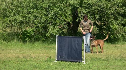 Woman Is Teaching Her Dog To Jump Over.