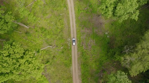 Aerial drone overhead following single car on rural, dirt road through bright, green forest in centr