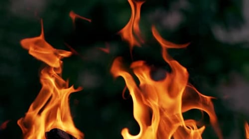 Brennendes Feuer. Lagerfeuer. Nahaufnahme brennender Flammen auf schwarzem Hintergrund, Zeitlupe