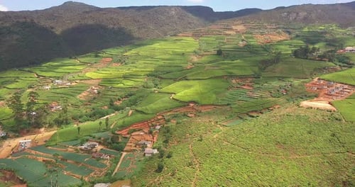 Aerial View of Hills with Tea Plantation in Morning in Sri Lanka