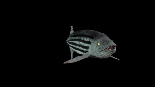 Fische 8