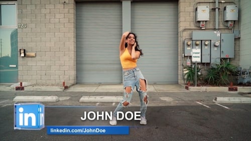 Modern LinkedIn Professional Lower Third Title Social Media Animation