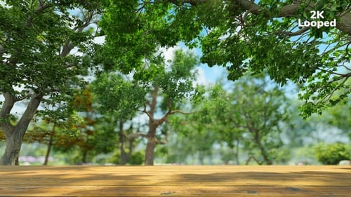 Outdoor Wooden Table Product Display Reveal in Green Forest