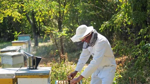 Imker hält eine Wabe in der Hand. Imker inspiziert Wabenrahmen im Bienenhaus