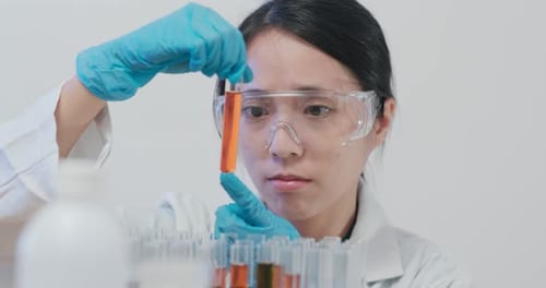 Young Woman Scientist Examining Test Tubes in Lab