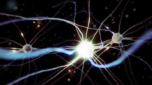 Célula nervosa no cérebro humano que pulsa e transmite os sinais elétricos