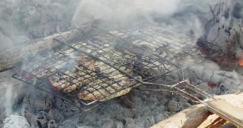 Carne a la parrilla sobre brasas. Concepto de vacaciones