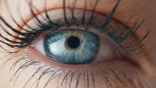 Opening and Blinking Female Eye with a Blue Iris and Long Lashes Painted with Mascara