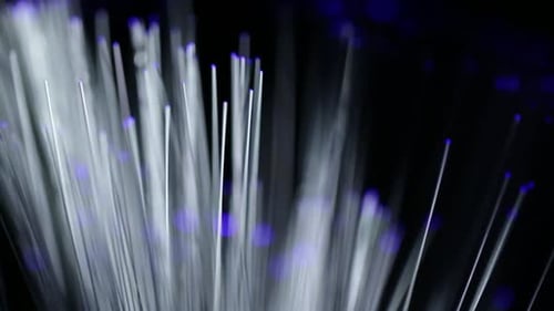 Fiber Optic Cables Glowing With Colorful Lights
