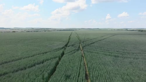 Green fields and meadows against blue sky. Farming at countryside.