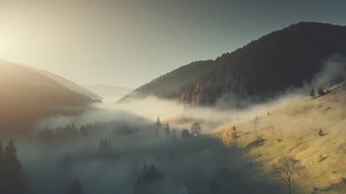 Nebelige Berglandschaft, dichter Wald, Luftaufnahme