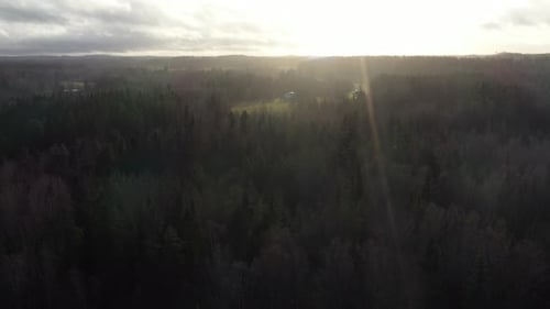 Scenic aerial shot of flight over green forest tree tops in sunset