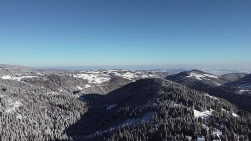 Aerial Top Down Flyover Shot of Winter Spruce and Pine Forest on a Sunny Winter Day