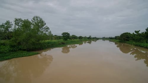 Morning Sungai Perai and surrounding green trees.