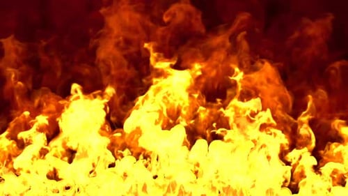 Dynamic Realistic Fire Flames Seamless Loop Background