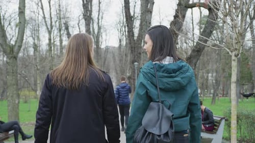 Freunde gehen in einem Park spazieren