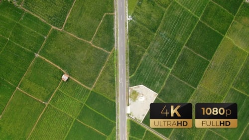 AH - Top View Rice Fields 02