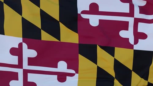 Realistic Maryland State Flag Waving Seamless Loop