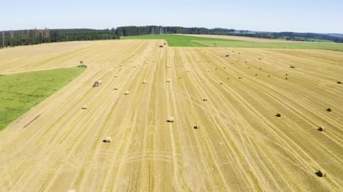 Aerial Drone Shot a Field with Hay Bales in a Rural Area on a Sunny Day Drone Flies Backwards