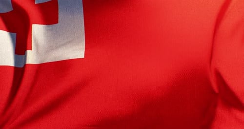 Realistic Waving Flag of Tonga Loop Animation