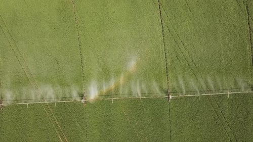 Automatic Irrigation of the Field with Specialized Equipment