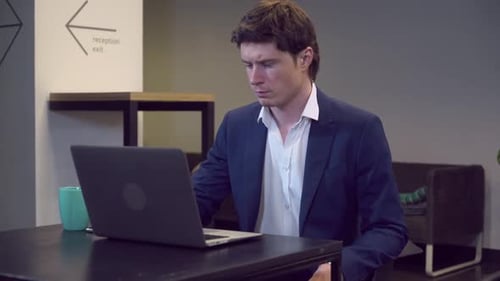 Young Adult Working on Laptop in Office