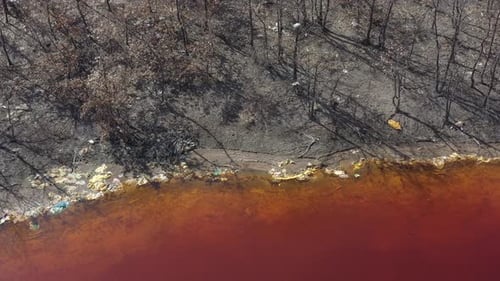 Dried trees on coastal area of red mining site lake 4K drone video