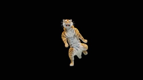 Tiger-Tanz HD
