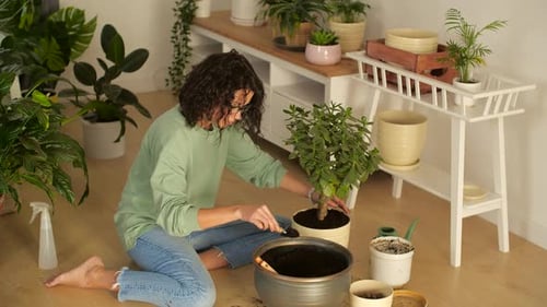 Hobby and Interior Concept